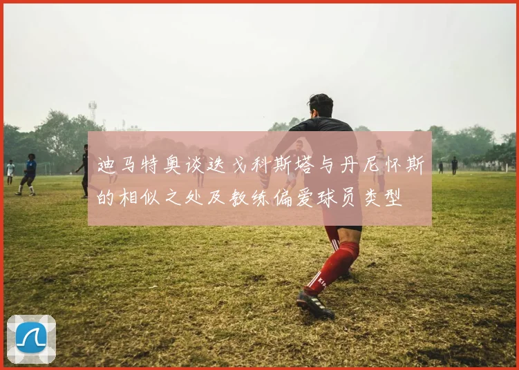 迪马特奥谈迭戈科斯塔与丹尼怀斯的相似之处及教练偏爱球员类型
