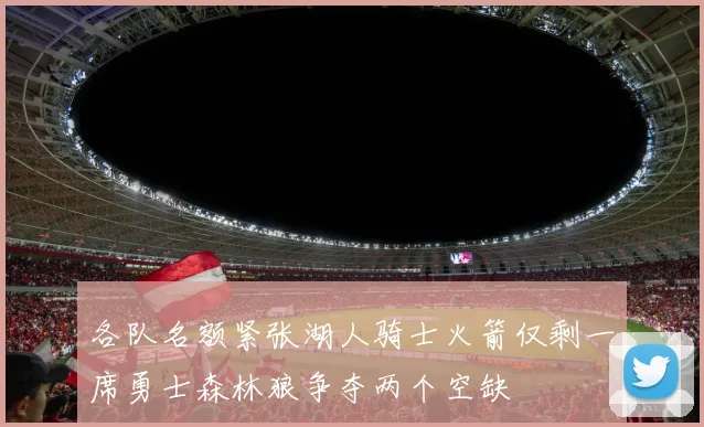 各队名额紧张湖人骑士火箭仅剩一席勇士森林狼争夺两个空缺