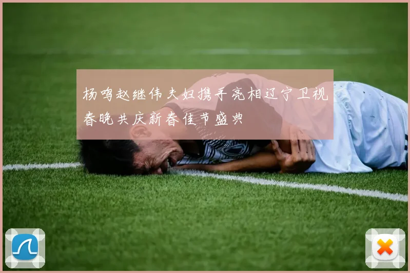 杨鸣赵继伟夫妇携手亮相辽宁卫视春晚共庆新春佳节盛典